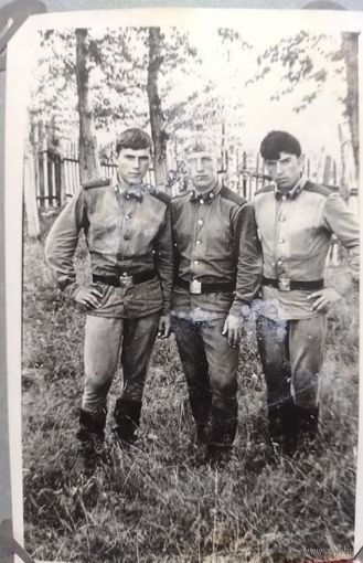 Фото в коллекцию