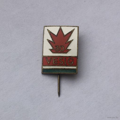 VESIG 30