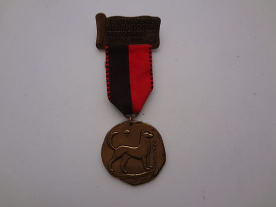 Медаль 1995. Фридрихсхафен. Выставка собак(?).