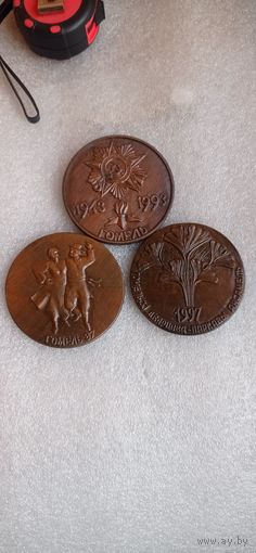 НАСТОЛЬНЫЕ МЕДАЛИ ГОМЕЛЬ 1993 ГОД 1997 ГОД . Распродажа Коллекции !!! .Экспресс  Аукцион НЕ с рубля без МПЦ и прочего 3 ДНЯ  .Много лотов в продаже .