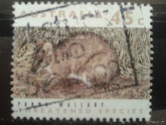 Австралия 1992 Сумчатая мышь