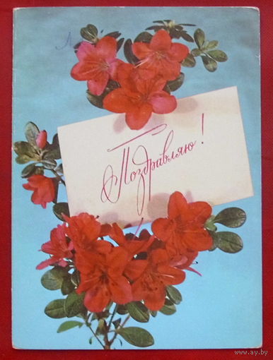 Поздравляем! Подписанная. Двойная. 1981 года. 129.