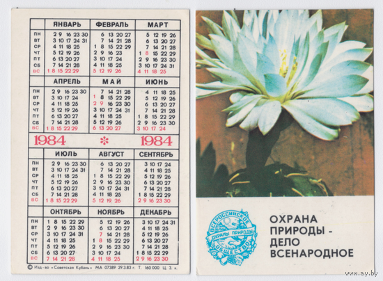 Календарь Охрана природы кактус 1984