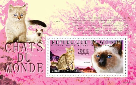 Кошки Гвинея 2009 год 1 блок