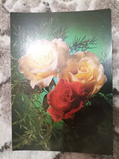 Открытка СССР чистая