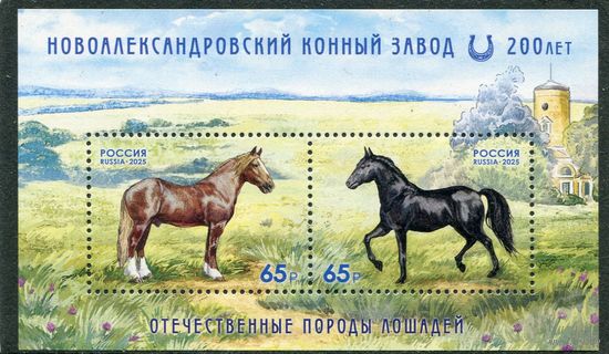 Россия 2025. 200 лет Новоалександровскому конному заводу. Блок