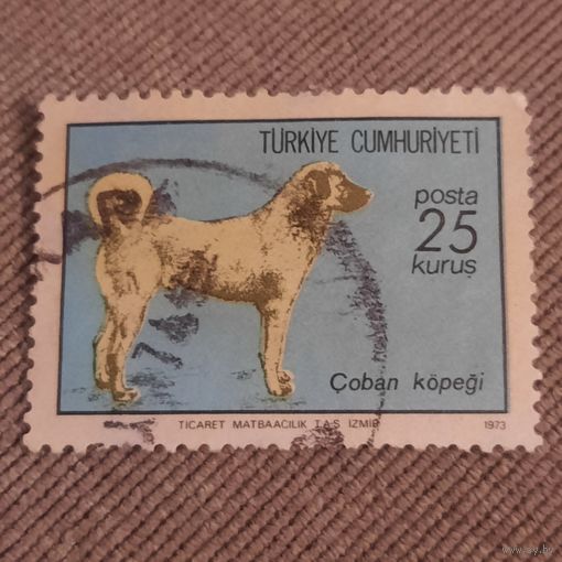 Турция 1973. Породы собак