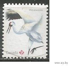 Канада. Американский журавль. 2018г. Mi#3210.