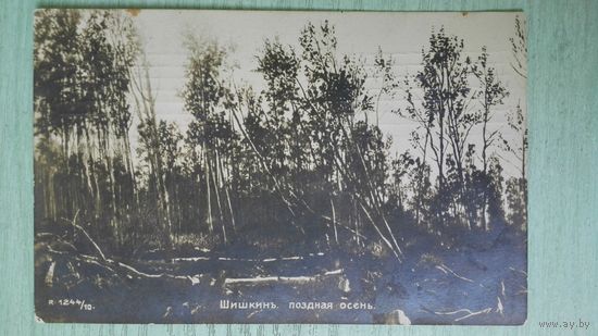 Открытка до 1917. Шишкин. Поздняя осень