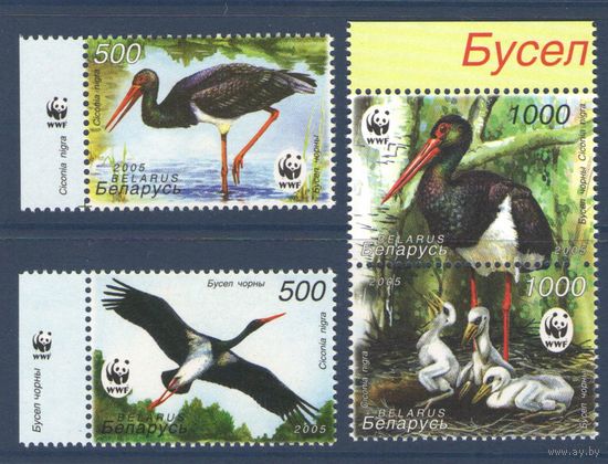 2005 Беларусь 597-600 Фауна. WWF. Птицы Черный аист**