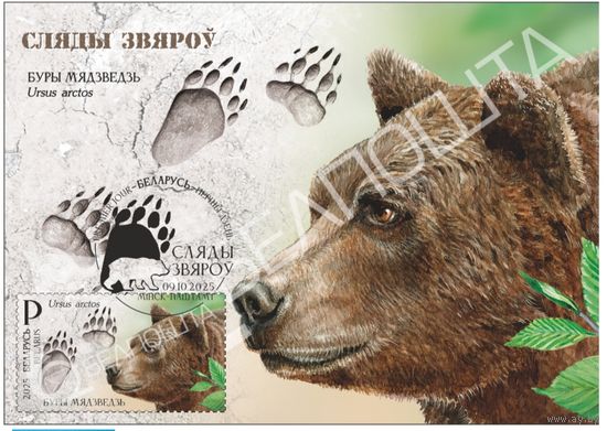 Картмаксимум "Медведь." Следы зверей.