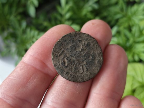 Копейка Петра 1. Не чищена. С 1 рубля!