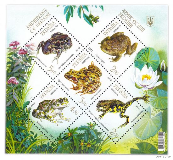 Украина. 2011. Фауна. Земноводные. Лягушки