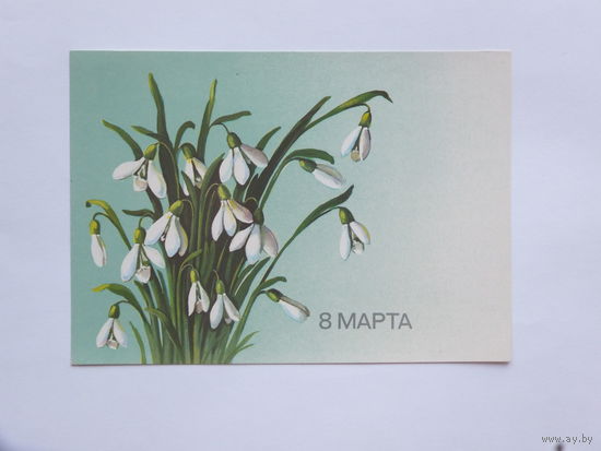 Куртенко  8 марта 1986  10х15 см