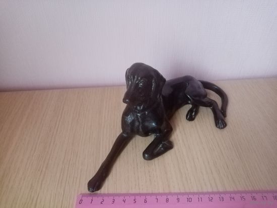 СОБАКА КАСЛИ