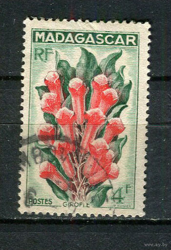 Французские колонии - Мадагаскар - 1957 - Флора и фауна 4Fr - (есть тонкое место) - [Mi.437] - 1 марка. Гашеная.  (Лот 80Fw)-T25P35