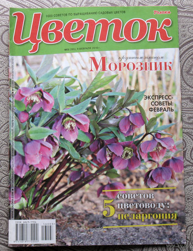 Цветок номер 3 2016, 17 2016