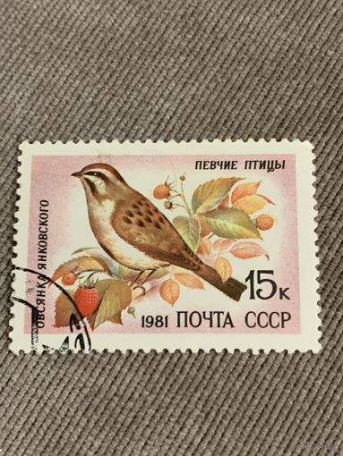 СССР 1981. Овсянка Янковского. Марка из серии