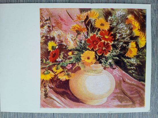 1959. Цветы. Голяховский. Ноготки