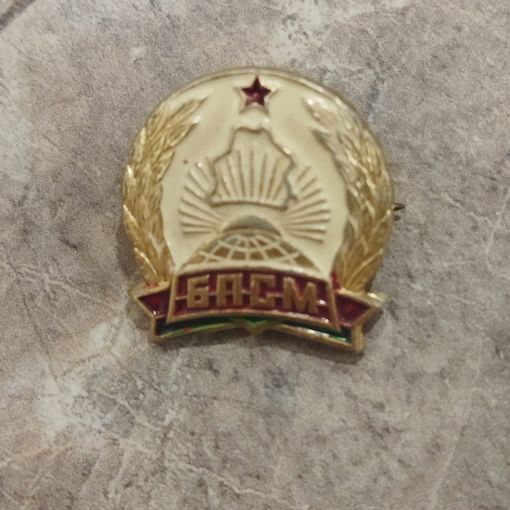 Фрачный знак. БПСМ. Белорусский патриотический союз молодежи. 1997 год.