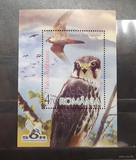 Румыния. 2007 год. Фауна. Хищные птицы. Блок (390)
