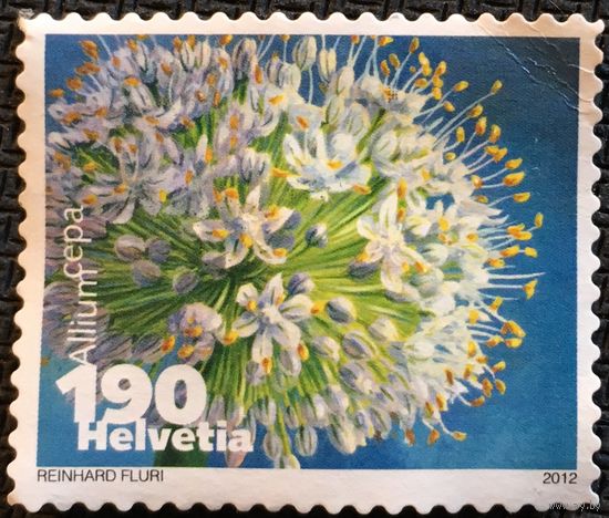 ЦІКАВІЦЬ АБМЕН! 2012, цыбуля рэпчатая, (190) негаш
