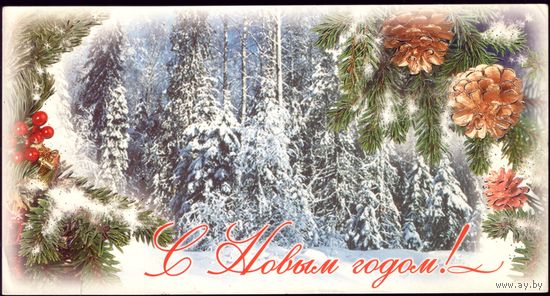 1999 год С Новым Годом!