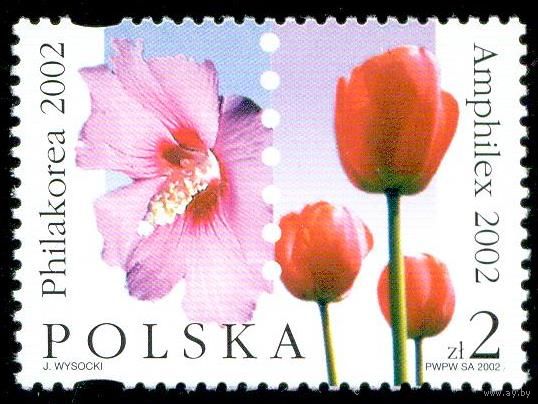 Цветы Польша 2002 год серия из 1 марки