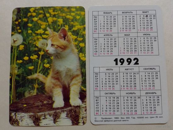 Карманный календарик. Котик.1992 год