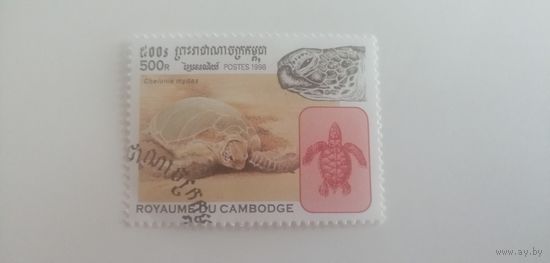 Камбоджа 1998. Черепахи
