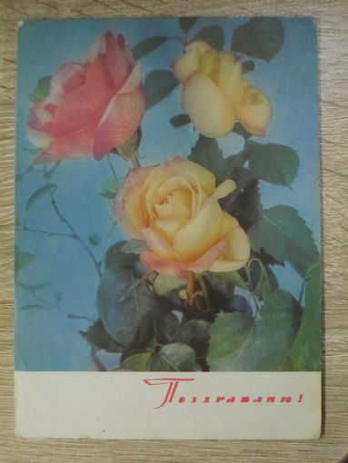 ПОДПИСАННАЯ ОТКРЫТКА СССР. "ПОЗДРАВЛЯЮ". ФОТО. Г. КОСТЕНКО. 1969 ГОД.