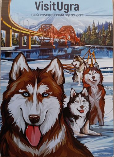 О-12. ПОДПИСАННАЯ ОТКРЫТКА. РОССИЯ. СОБАКИ. ВИЗИТУГРА..