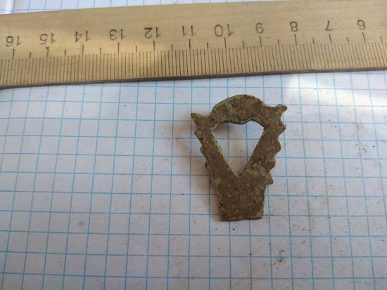 Конина красивая. Находка