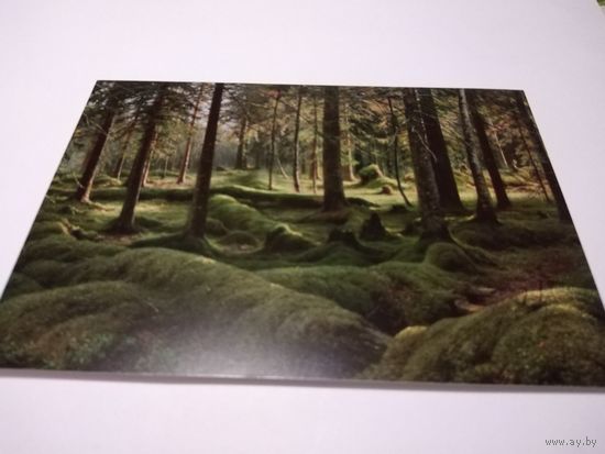 Открытка. И. И. Шишкин. Лесное кладбище.