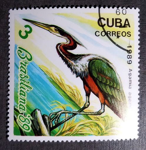 Марка Куба 1989 год Птицы