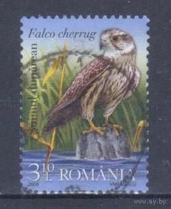 [260] Румыния 2009. Фауна.Хищные птицы.Сокол-балобан. Гашеная марка.