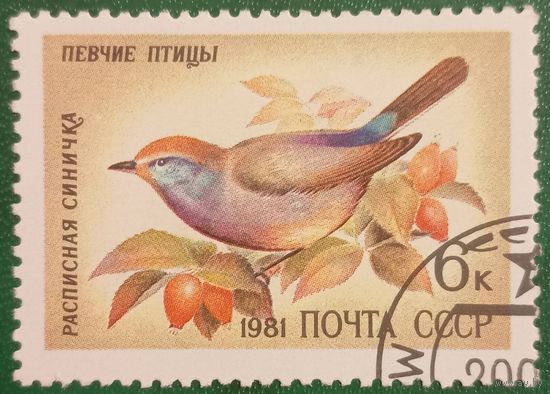 СССР 1981. Фауна. Птицы. Расписная синичка. Марка из серии