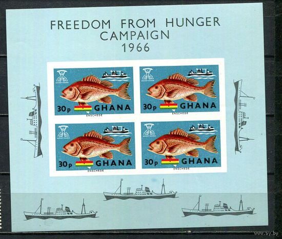 Гана - 1966 - Борьба с голодом. Красный снэппер - [Mi. bl. 21] - 1 блок. MNH.  (Лот 68Hi)-T41P41