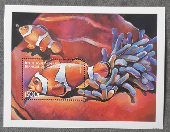 1999 Рыба-клоун Федеральная Исламская Республика Коморские острова
