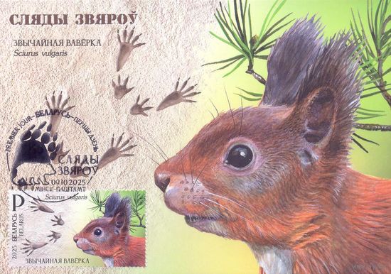 Беларусь 2025 4 Картмаксимума фауна следы зверей