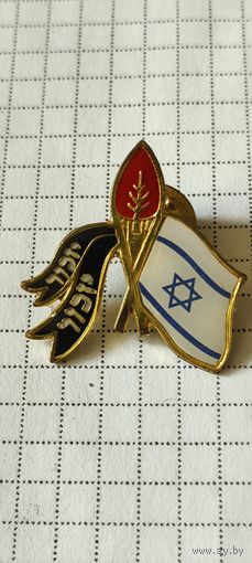 Значок израильской армии???