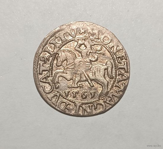 Паўгрошы Жыгiмонта II. 1561, Вильно. Красивый