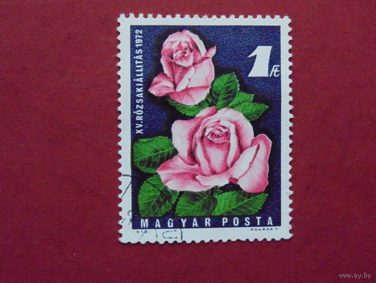 Венгрия 1972г. Флора.