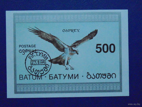 Батуми 1994г. Птицы.