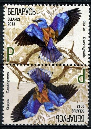 Беларусь 2013 #945. Сизоворонка (Р+P)