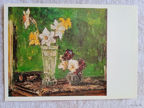 Шишко. Нарциссы