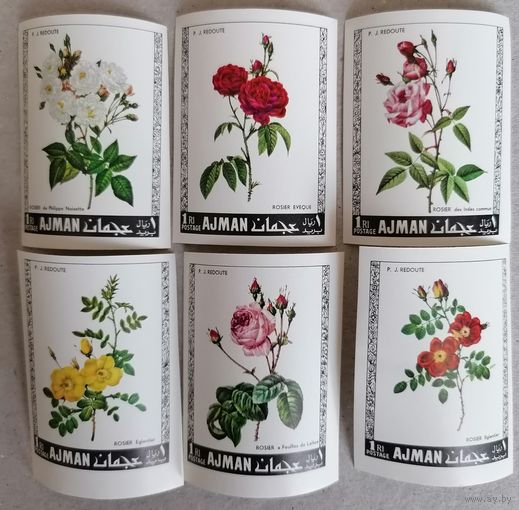 Аджман. Розы.