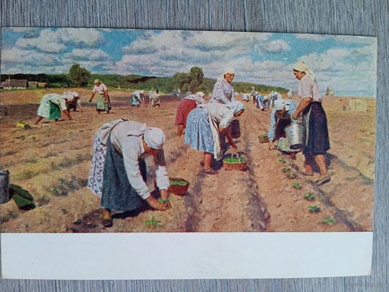 1952. соцреализм. Кугач. На огороде