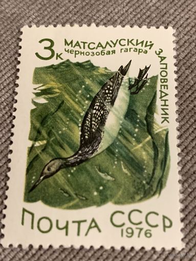 СССР 1976. Чернозобая гагара. Марка из серии