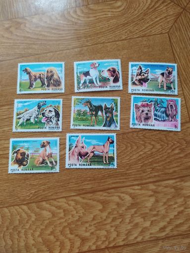 Румыния серия марок 1990 г. Собаки.